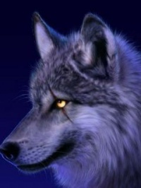 Wolf 5